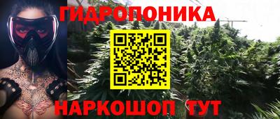 mdma Дубна