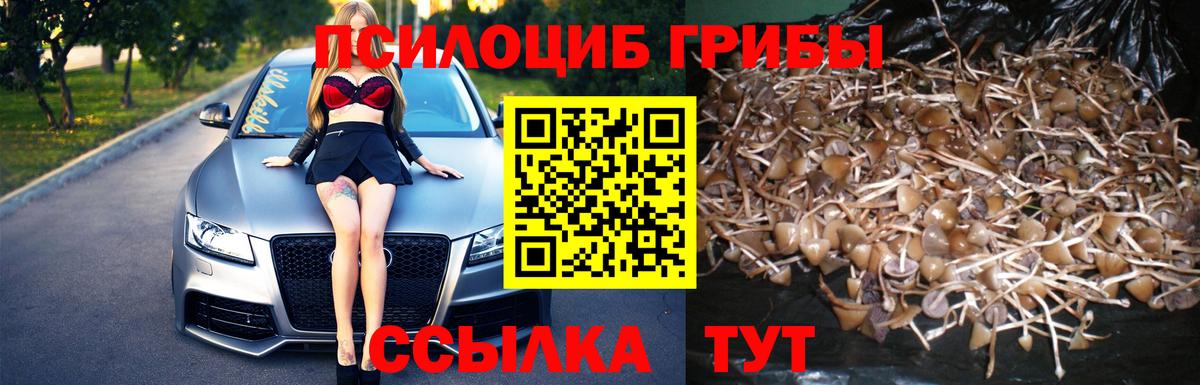 Псилоцибиновые грибы MAGIC MUSHROOMS  Вход с VPN  Псилоцибиновые грибы прущие грибы  Майкоп 